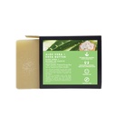 Renewal Radiance – Effortless Muse (All Natural Aloe Vera & Shea Butter) — 2