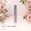 hy-lp-gls-0006-ballet-escape-lip-gloss-soft-pink-1057.webp