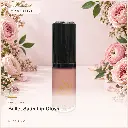 hy-lp-gls-0010-ballet-satin-lip-gloss-nude-pink-1061.webp