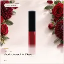 hy-lp-gls-0013-scarlet-verse-lip-gloss-red-1064.webp