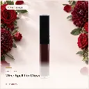 hy-lp-gls-0014-wine-spell-lip-gloss-burgundy-1065.webp