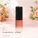 hy-lp-gls-0018-sunrise-sonnet-lip-gloss-orange-coral-1069.webp