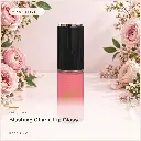 hy-lp-gls-0021-blushing-charm-lip-gloss-rose-pink-1072.webp