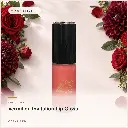 hy-lp-gls-0022-vermilion-invitation-lip-gloss-coral-red-1073.webp