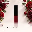 hy-lp-gls-0027-burgundy-letter-lip-gloss-deep-red-1078.webp