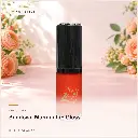 hy-lp-gls-0026-sundown-murmur-lip-gloss-burnt-orange-1077.webp