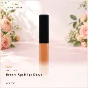 hy-lp-gls-0030-amber-spell-lip-gloss-apricot-1081.webp
