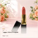 hy-lp-lst-0019-copper-velvet-lipstick-terracotta-1143.webp