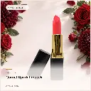 hy-lp-lst-0024-garnet-spark-lipstick-coral-red-1148.webp