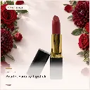 hy-lp-lst-0027-scarlet-fantasy-lipstick-wine-1151.webp